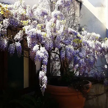 Bed and breakfast Le Terrazze *