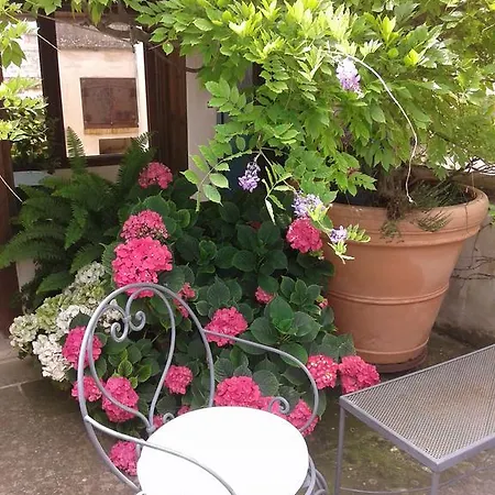 Le Terrazze Bed and breakfast Bisceglie